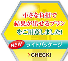 小さな負担で結果が出せるプランをご用意しました！