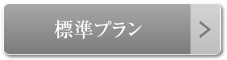 標準プラン